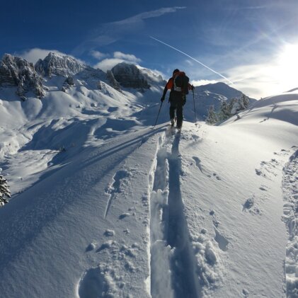 Why you need ski crampons for your next ski tour INTERSPORT Rent